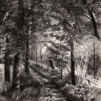 Saltburn Woods