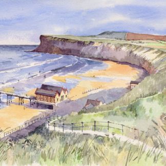 Saltburn View