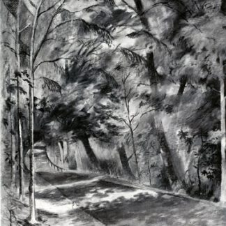 Saltburn Woods Charcoal Saltburn Woods Charcoal